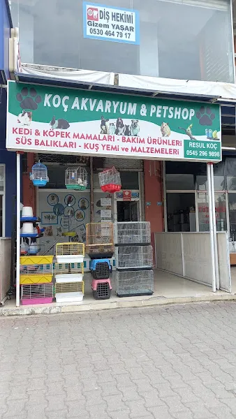 Koç Petshop Ve Akvaryum foto 1