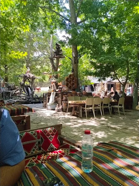Koç Petshop Ve Akvaryum foto 2