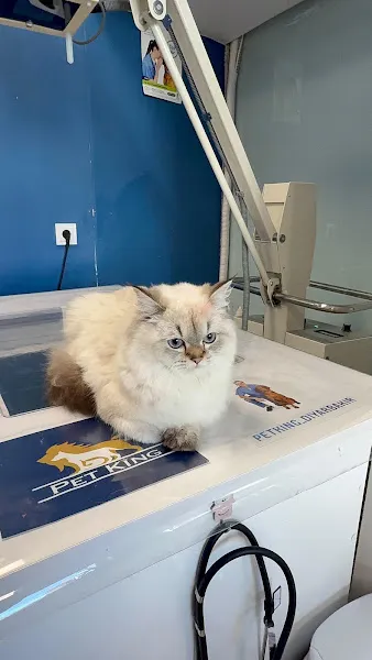 Petking Veteriner Kliniği foto 2