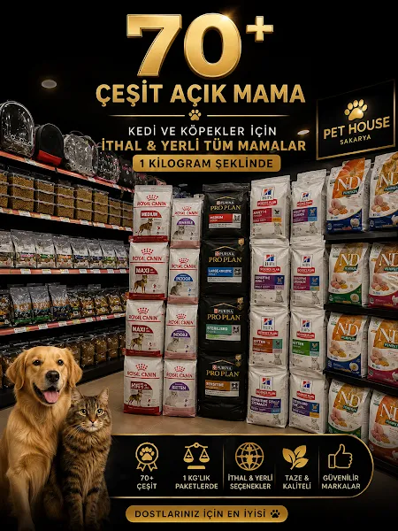 PET HOUSE SAKARYA foto 2
