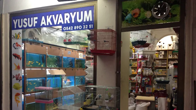 Yusuf Akvaryum foto 2