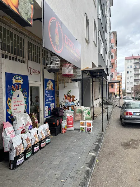 DRD 46 Petshop Evcil Hayvan Ürünleri Canlı Hayvan Satışımız Yoktur. foto 2