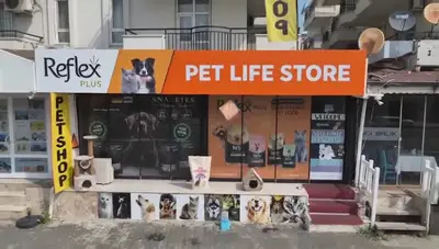 Side Petshop Pet Life Store fotoğrafı