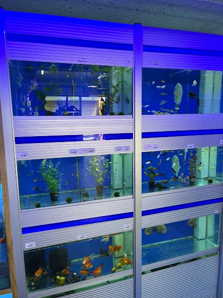 Fox Petshop & Akvaryum foto 2
