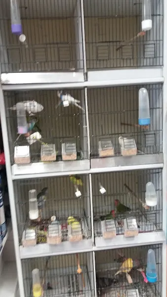 Pet Plus foto 2