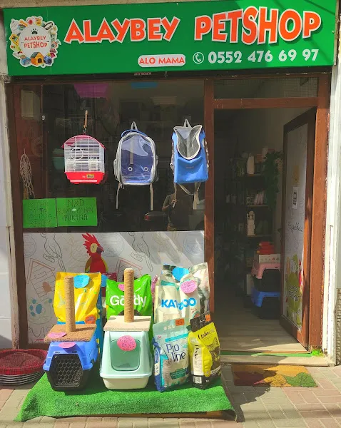 Pati Masalı Petshop foto 1
