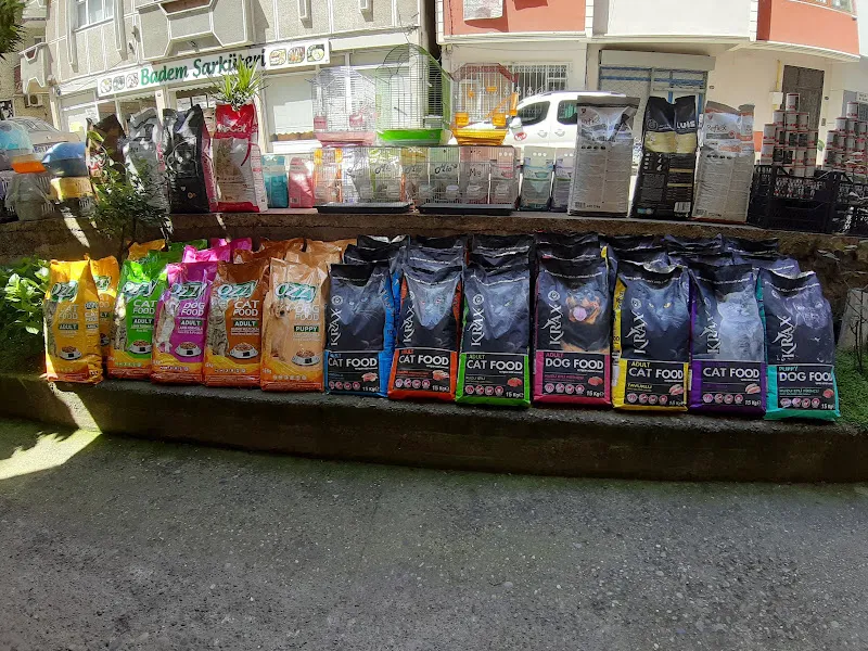 YİĞİT PET MARKET 1 ( PET SHOP ) foto 2