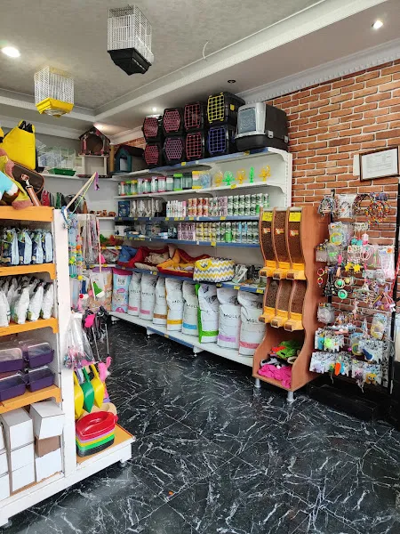 Aslan Petshop 2 Saray(Alo mama) foto 2