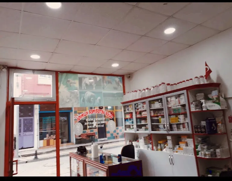 Güce Veteriner Klinigi foto 1