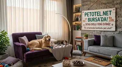 Bursa Pet Otel fotoğrafı