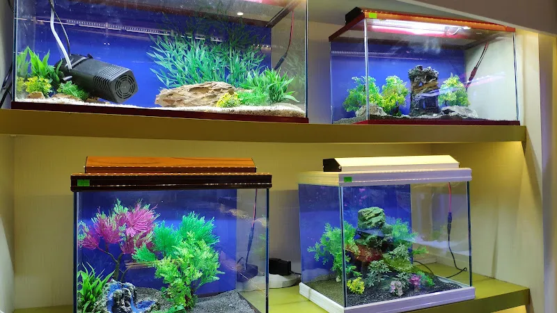 Safari Pet Shop foto 2