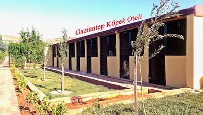 Özel Gaziantep Köpek Çiftliği