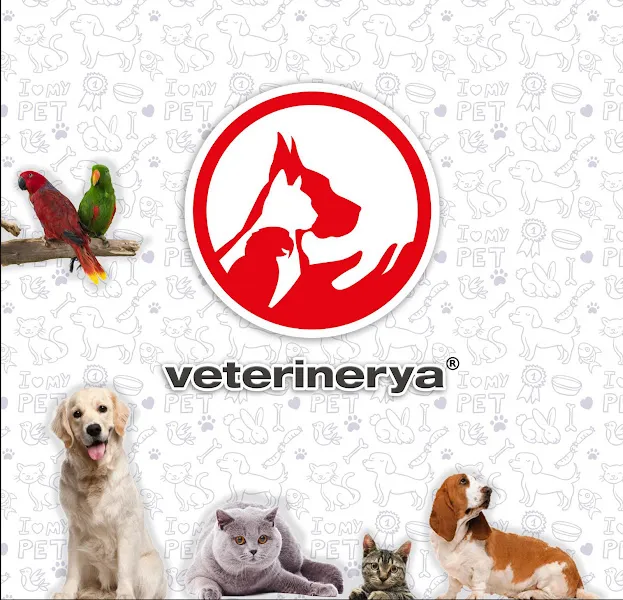 VETERİNERYA foto 1