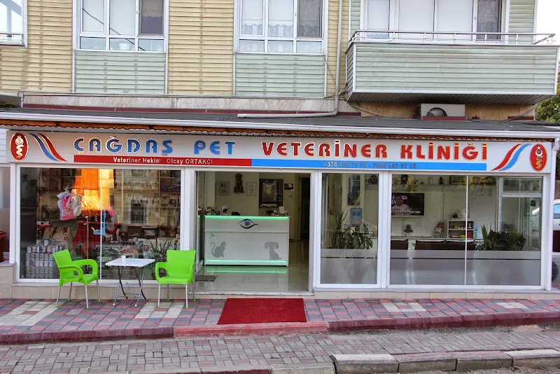 BARTIN ÇAĞDAŞ PET VETERİNER KLİNİĞİ foto 1