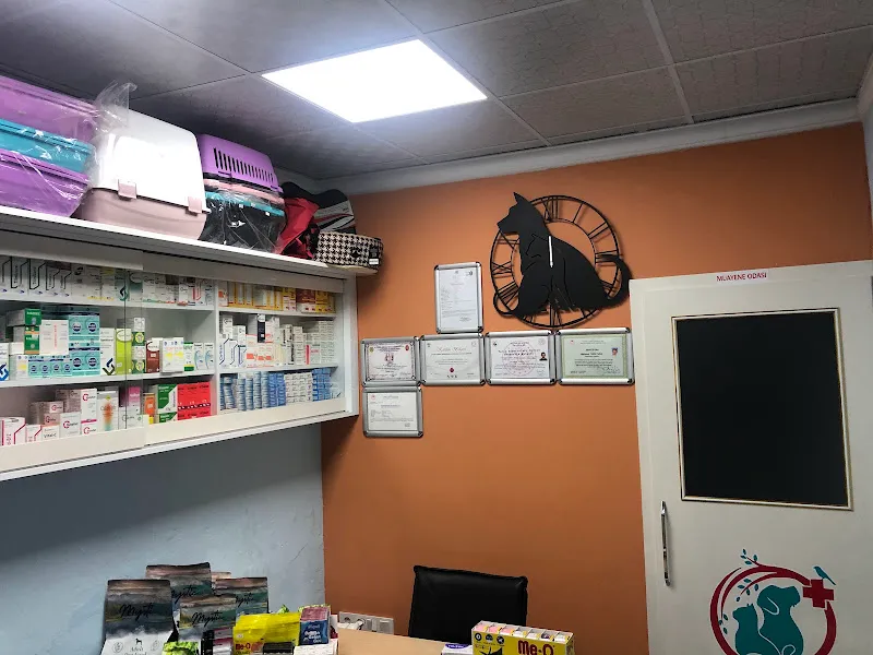 TUNÇ VETERİNER KLİNİĞİ KİLİS foto 2