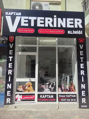 Kaptan Veteriner kliniği fotoğrafı