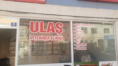 ULAŞ VETERİNER KLİNİĞİ fotoğrafı