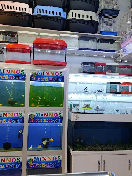 Minnoş Petshop foto 2