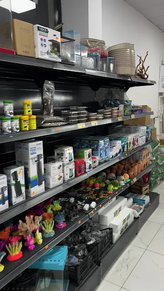 Albino petshop, toptan ve perakende pet ürünleri foto 2