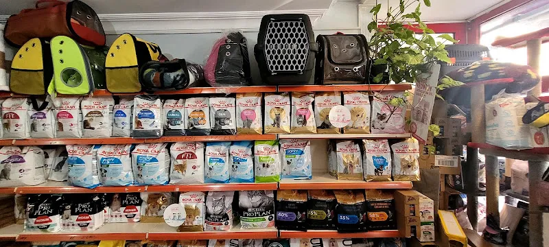 ÖVGÜ PETSHOP KARTAL foto 2