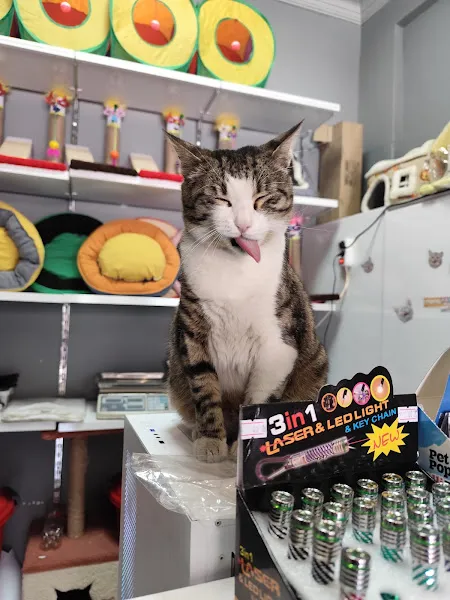 Mera Petshop sivas foto 2