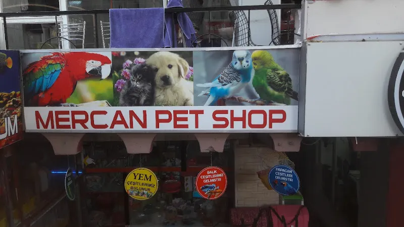 Mercan Petshop foto 1