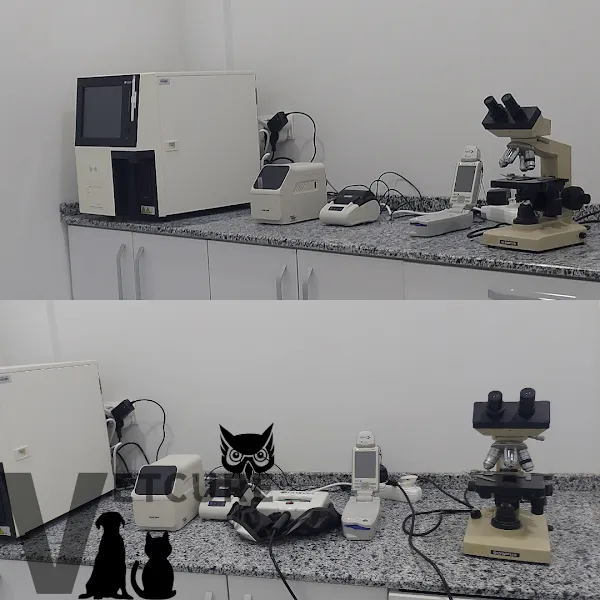 Vetcur Aliağa veteriner kliniği foto 1