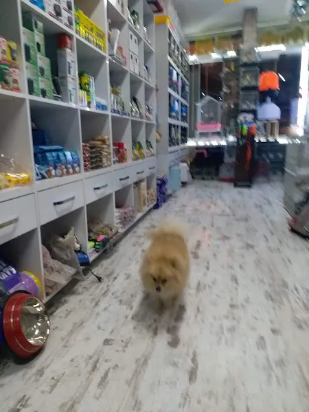 Trabzon Hobi petshop foto 2