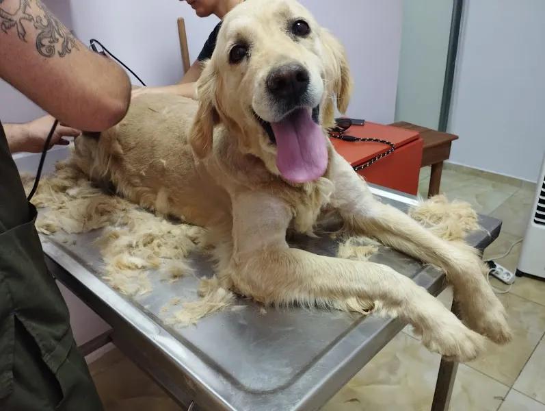 Lotus Menderes Veteriner Kliniği foto 2