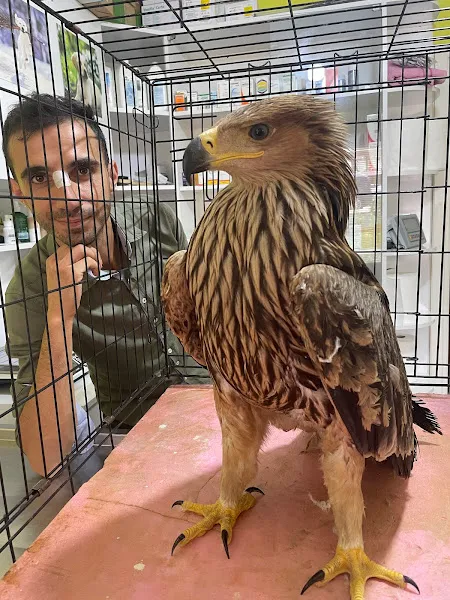 Yılmaz Veteriner Kliniği foto 1