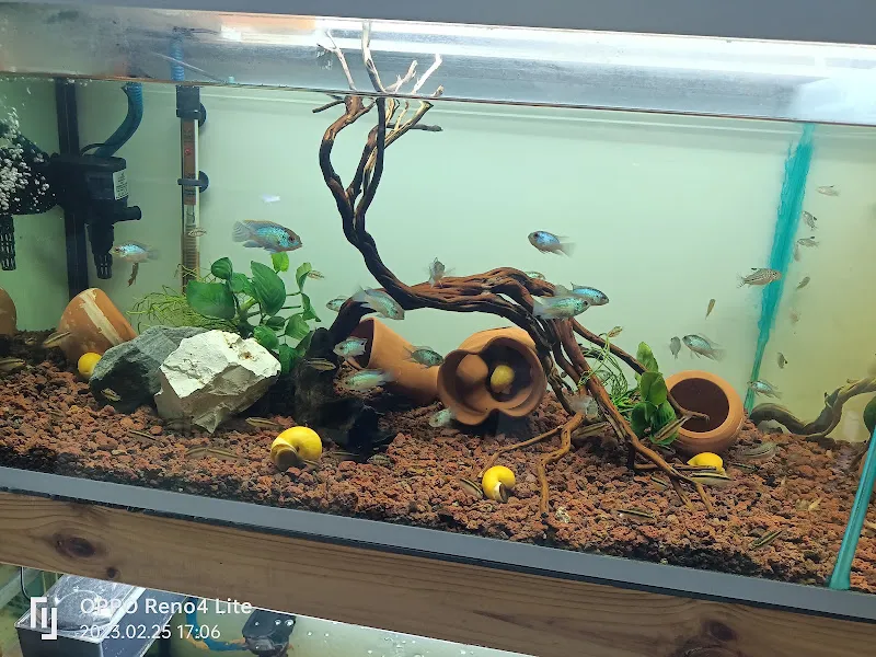 Kayseri Talas Pet Center foto 2