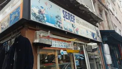Şeref Kuş Ve Akvaryum Galerisi