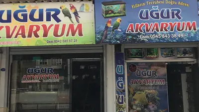 Uğur Akvaryum