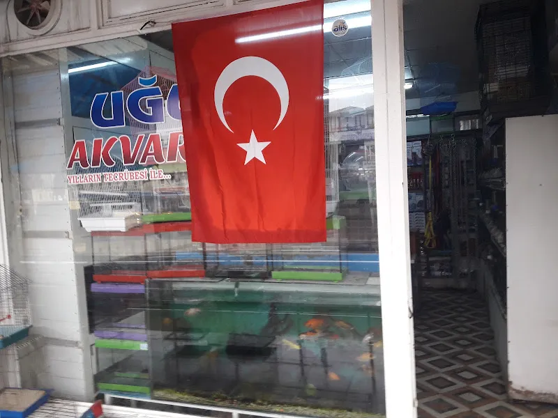 Uğur Akvaryum foto 2