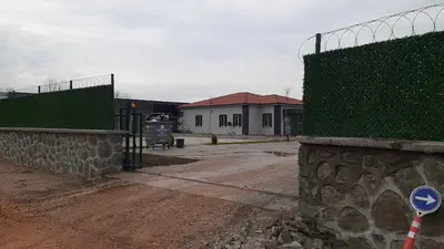Proteo sokak hayvanları rehabilitasyon merkezi