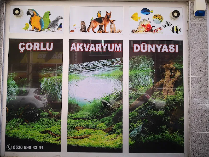 Çorlu Akvaryum Dünyası foto 2