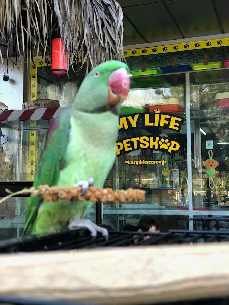 My Life Petshop foto 2