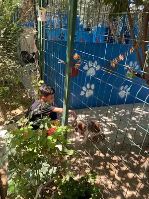 Manavgat Köpek Oteli fotoğrafı