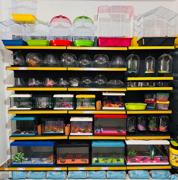 PET HOUSE PETSHOP foto 2