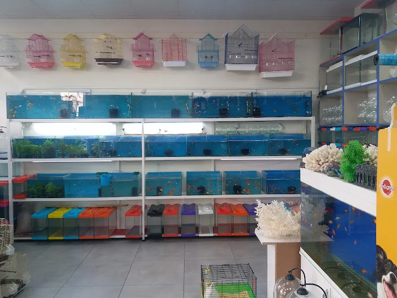 Aydin Pet Shop foto 2