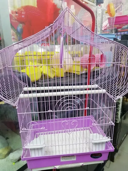 Amazon Akvaryum & Pet Shop foto 2