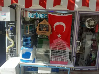 Turkuaz Akvaryum