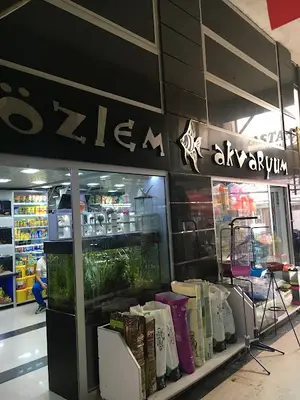 Özlem Akvaryum