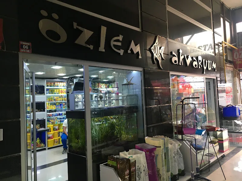 Özlem Akvaryum foto 2