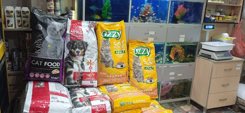 Alkan Petshop foto 2