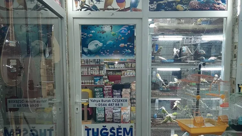 Tuğsem Petshop foto 2