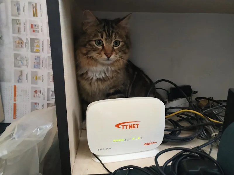 Çözüm Veteriner Kliniği foto 2