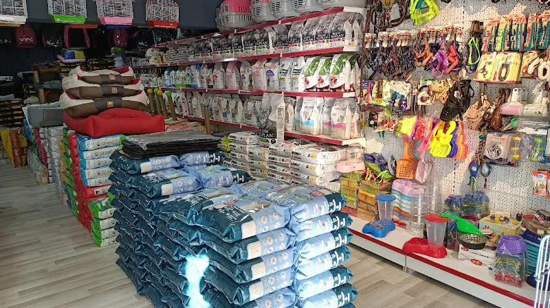 Gölbaşı Petshop foto 2