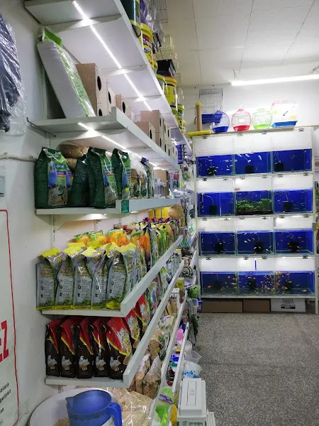 Aqua Akvaryum & Av Malzemeleri foto 2