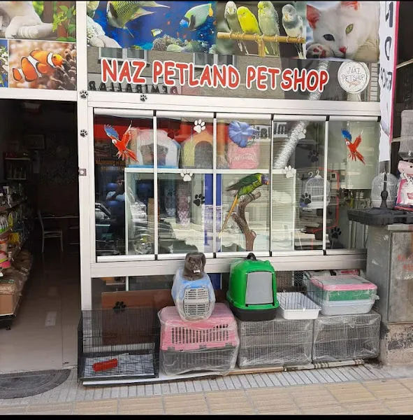 naz petshop petland foto 1